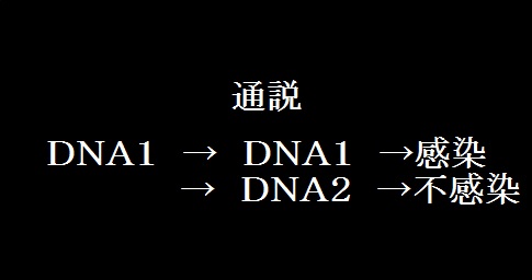 DNA感染経路