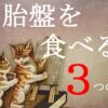 猫が胎盤を食べる３つの理由