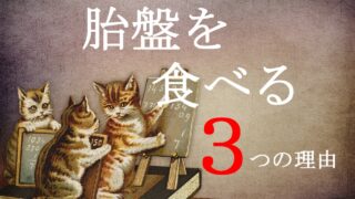 猫が胎盤を食べる３つの理由