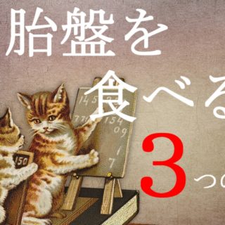 猫が胎盤を食べる3つの理由