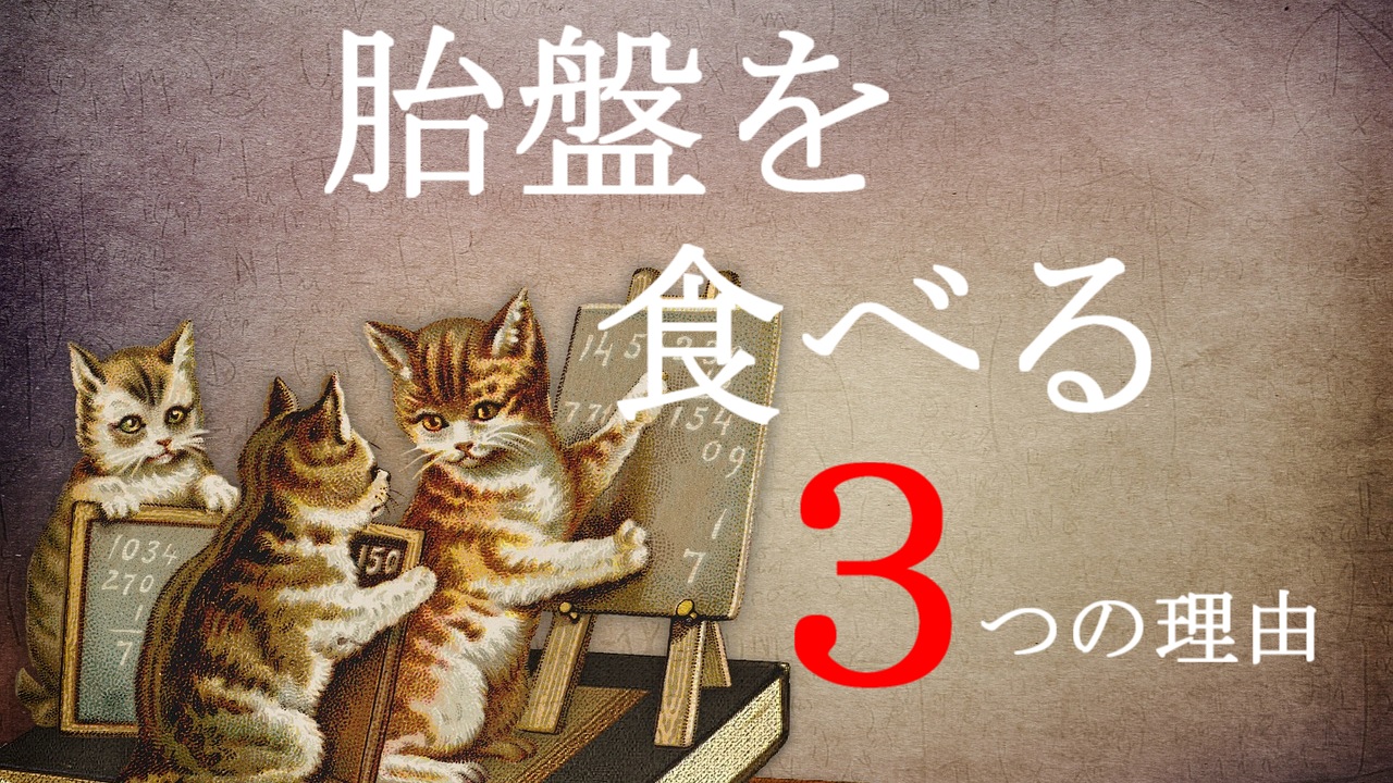 研究員が明かした】猫が胎盤を食べる３つの理由【科学的根拠】  ねこ 