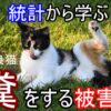 統計から学ぶ-野良猫の糞被害