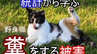 統計から学ぶ-野良猫の糞被害