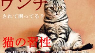 1-野良猫の効果的な７つの撃退方法