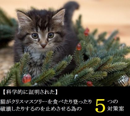 猫がクリスマスツリーを食べたり登って破壊したりするのを止めさせる為の５つの対策案