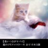 【食いつきがヤバイ】猫のクリスマスケーキ おすすめ３選